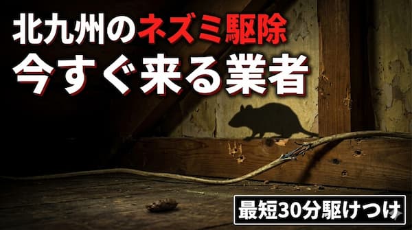 北九州のおすすめネズミ駆除業者