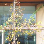 空き家になった実家