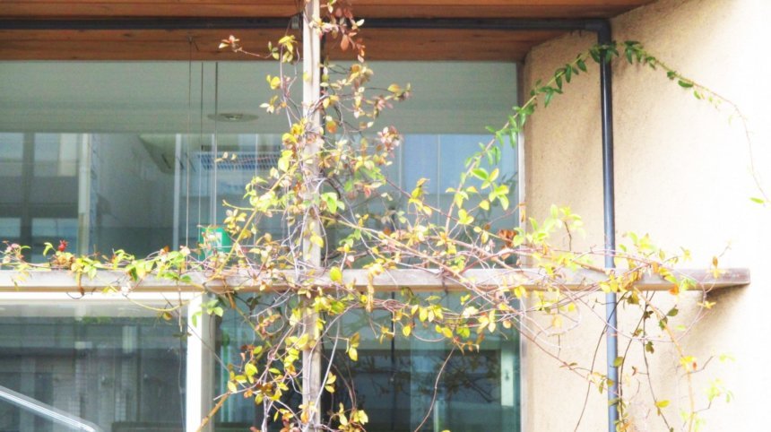 空き家になった実家