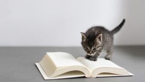 マンション売却の教科書