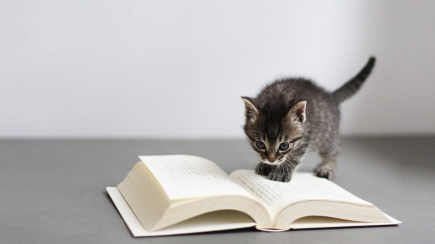 マンション売却の教科書